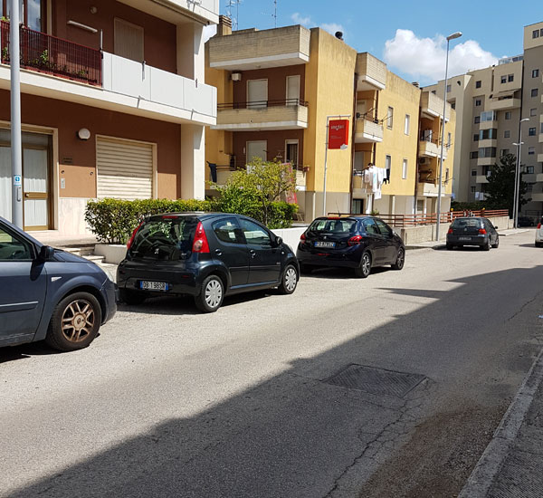 Snodati - Asilo per cani e toelettatura Matera