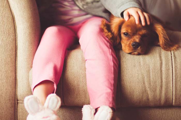 Quali emozioni può provare il tuo cane?